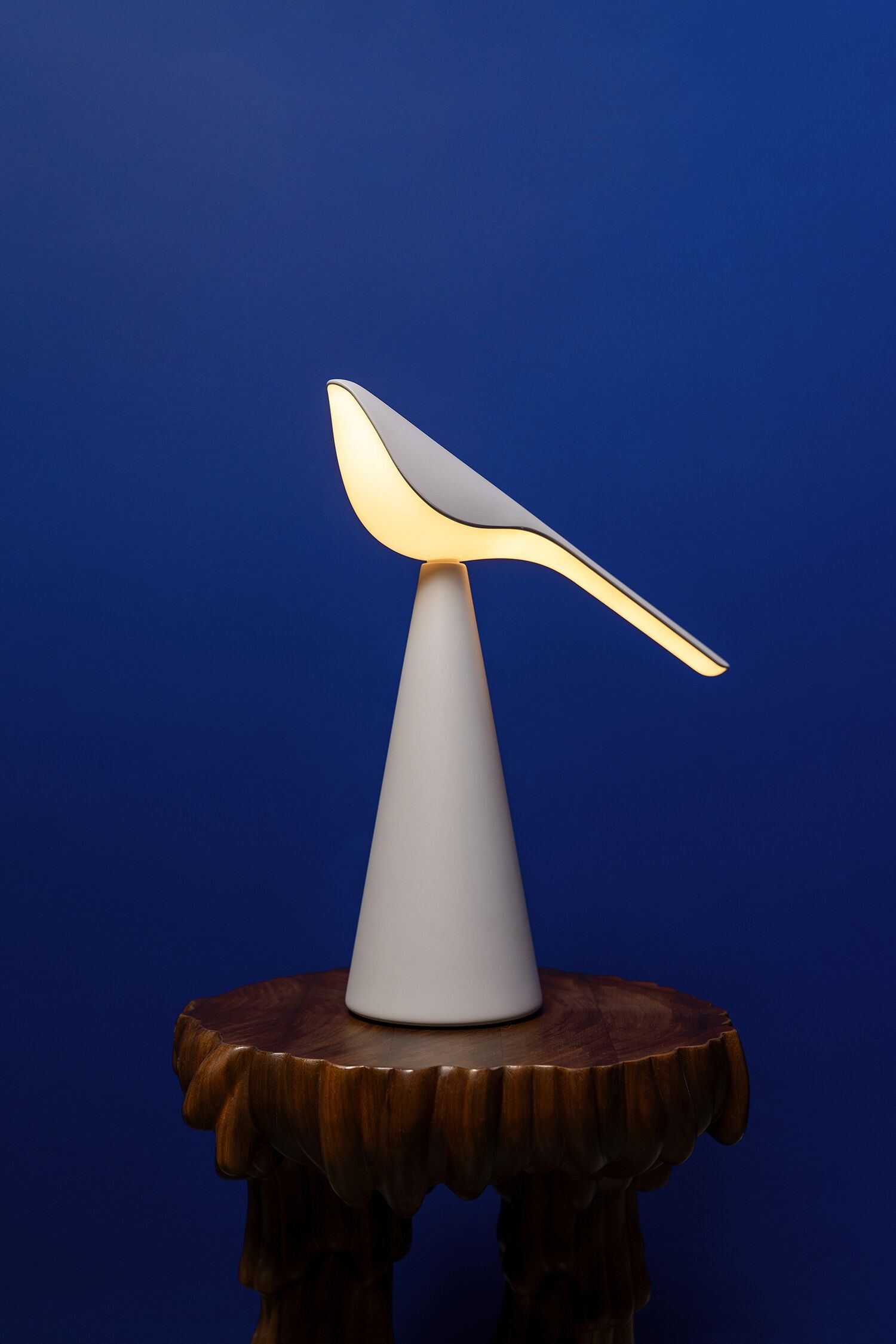 Алюминиевая светодиодная настольная лампа Established&Sons TIKI ARCH-00145932 - Вид №28