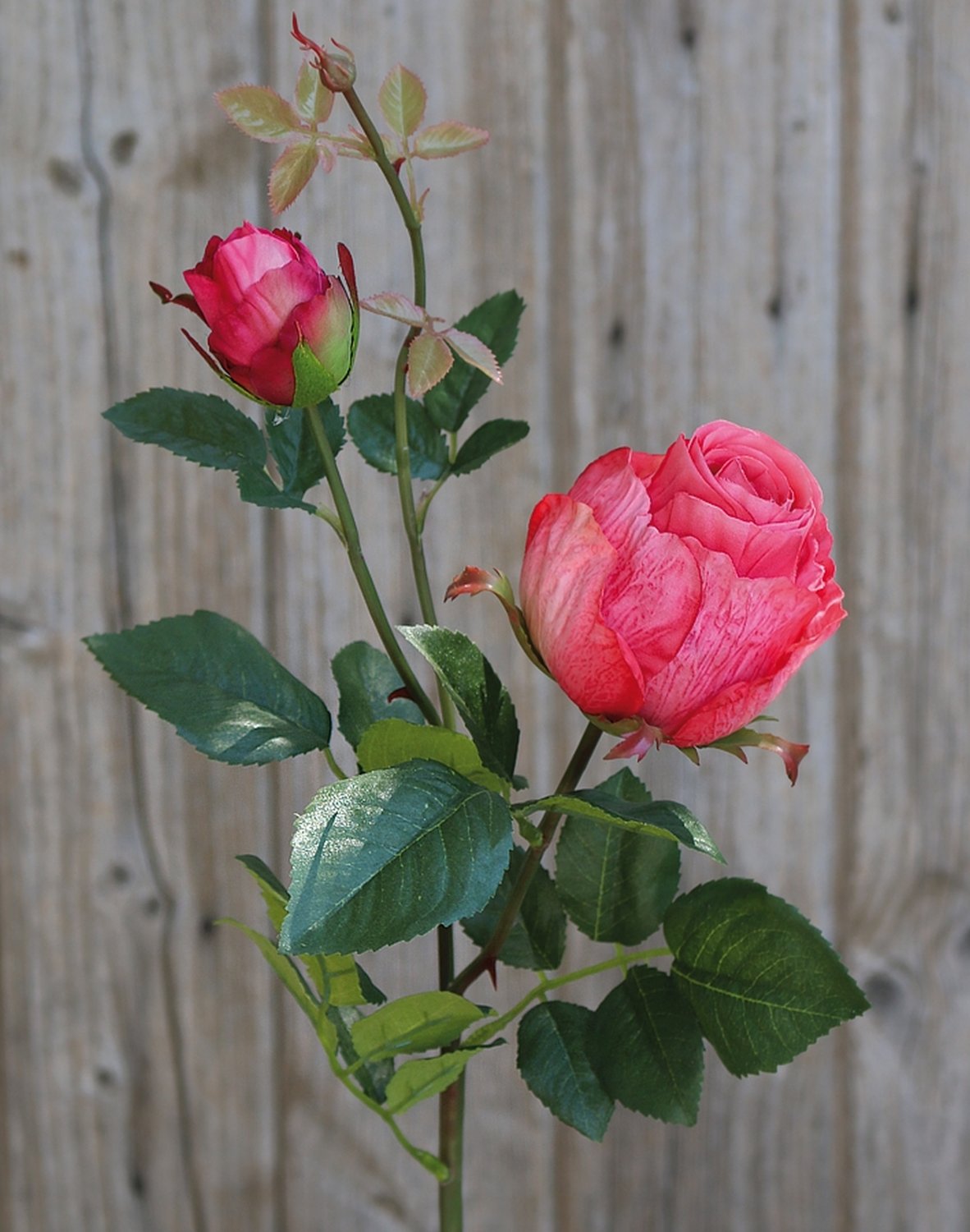 2628 515 a3 Искусственная роза, 1 цветок, 1 бутон, 80 см, розовая H-andreas  - Вид №2