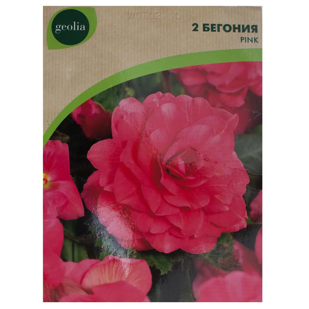 Бегония Geolia «Double Pink», 4х5 см 15548811 STLM-2045328 