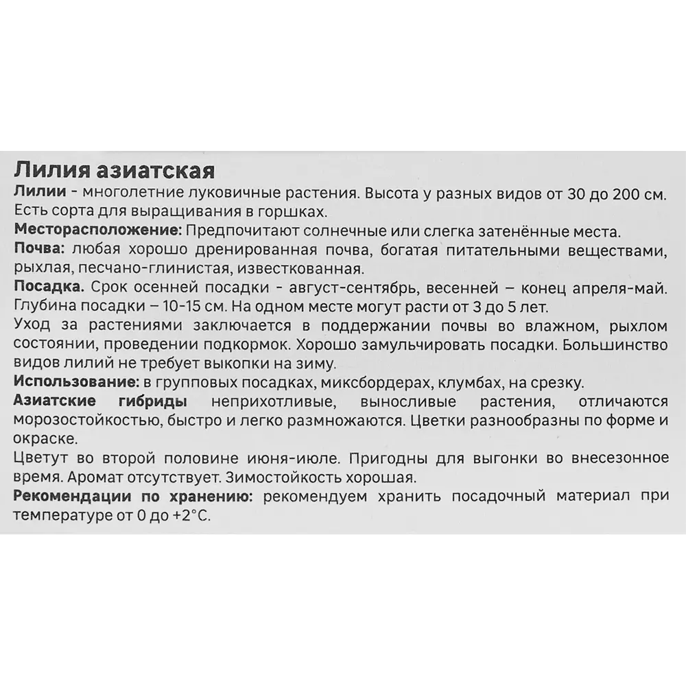 Лилия Geolia азиатская Тинос 86408615 STLM-2196166  - Вид №3