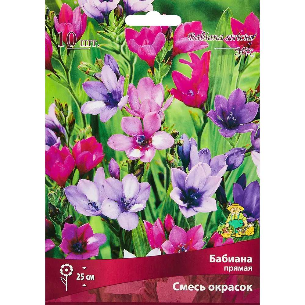 Бабиана прямая смесь окрасок, 10 шт ПОИСК STLM-2088661