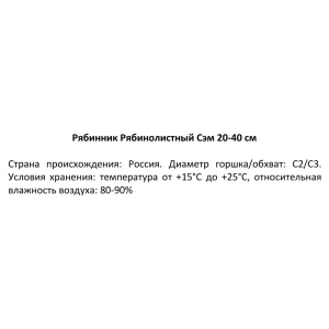 Рябинник Рябинолистный Сэм ø19 h20-40 см 85320142 STLM-2173634