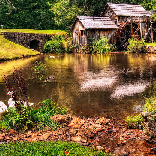 A1-051 Фотообои DIVINO Collection A 2.38х3 м A1051