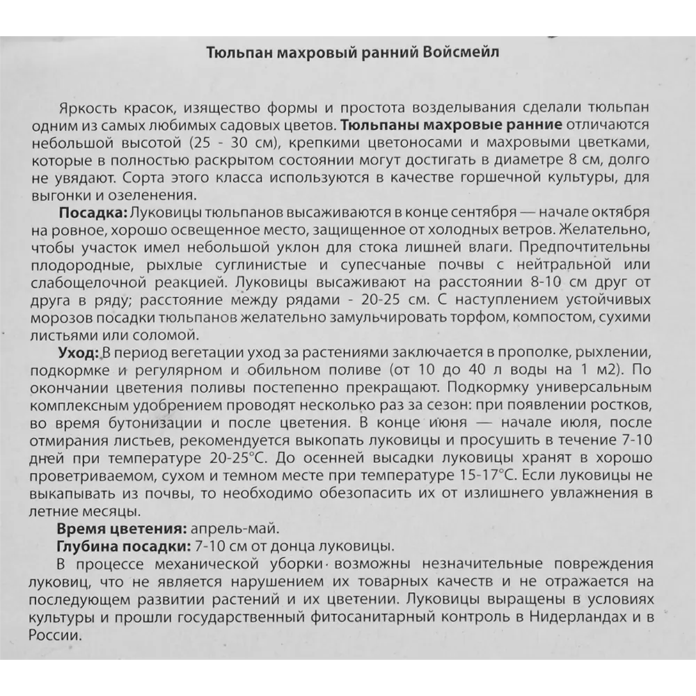 Тюльпан «Войсмейл» размер луковицы 12, 5 шт. 82665985 STLM-2165440 BLOOMING LIFE  - Вид №2