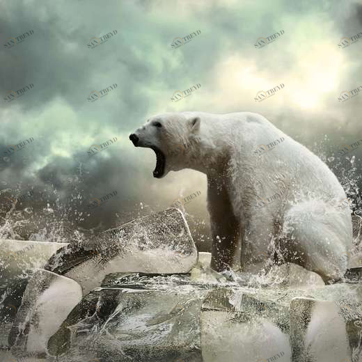 WP00163 Фотообои Verol Фотообои decoline 1х1 м