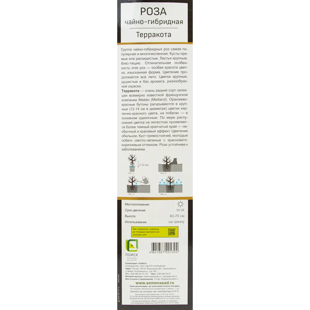 Роза Мейян чайно-гибридная Терракота 82527416 STLM-2153154 Santreyd  - Вид №2
