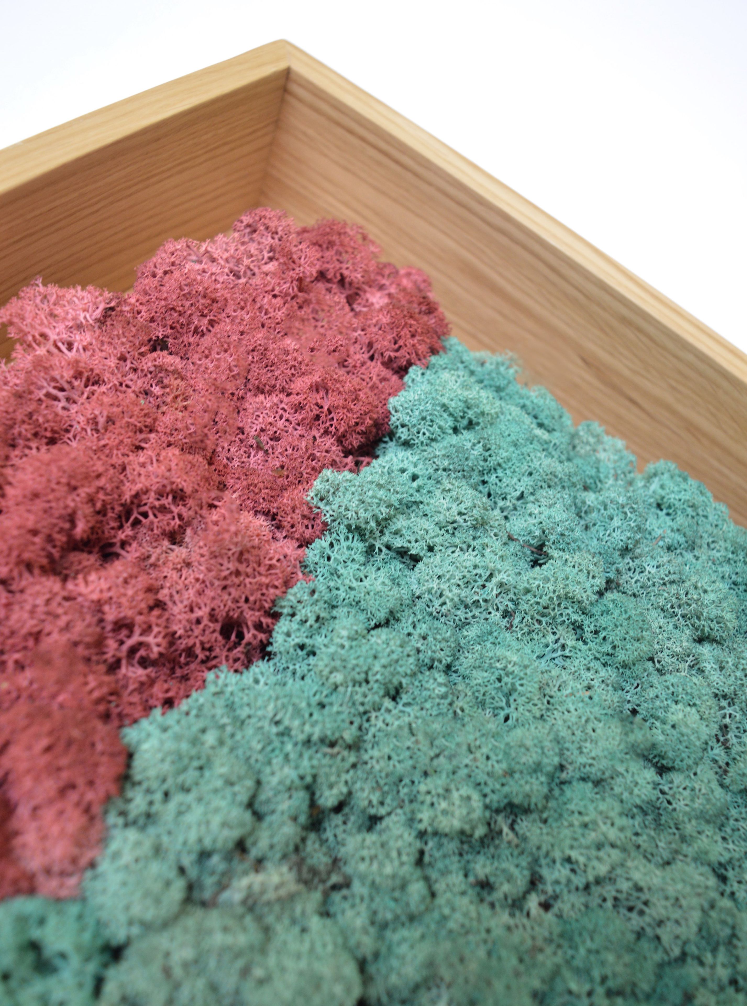 Акустическая панель из мха GREENMOOD FRAMED SYNERGY ARCH-00061647 - Вид №18