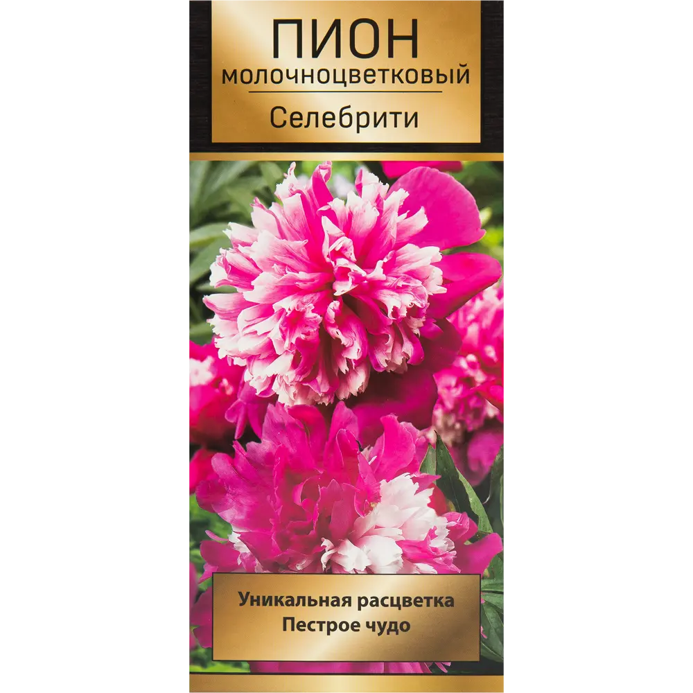 Пион травянистый Селебрити 10/12 ,1 шт 82530301 STLM-2013649 Santreyd 