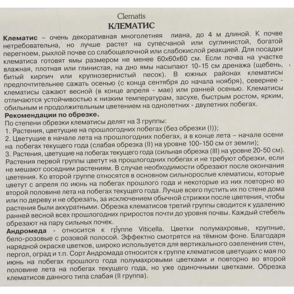 Клематис крупноцветковый Андромеда в капере 82527497 STLM-2065687 Santreyd  - Вид №2