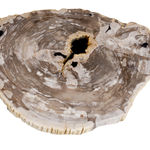 FUBR040 Приставной столик из окаменелого дерева ijlbrown  - Вид №3