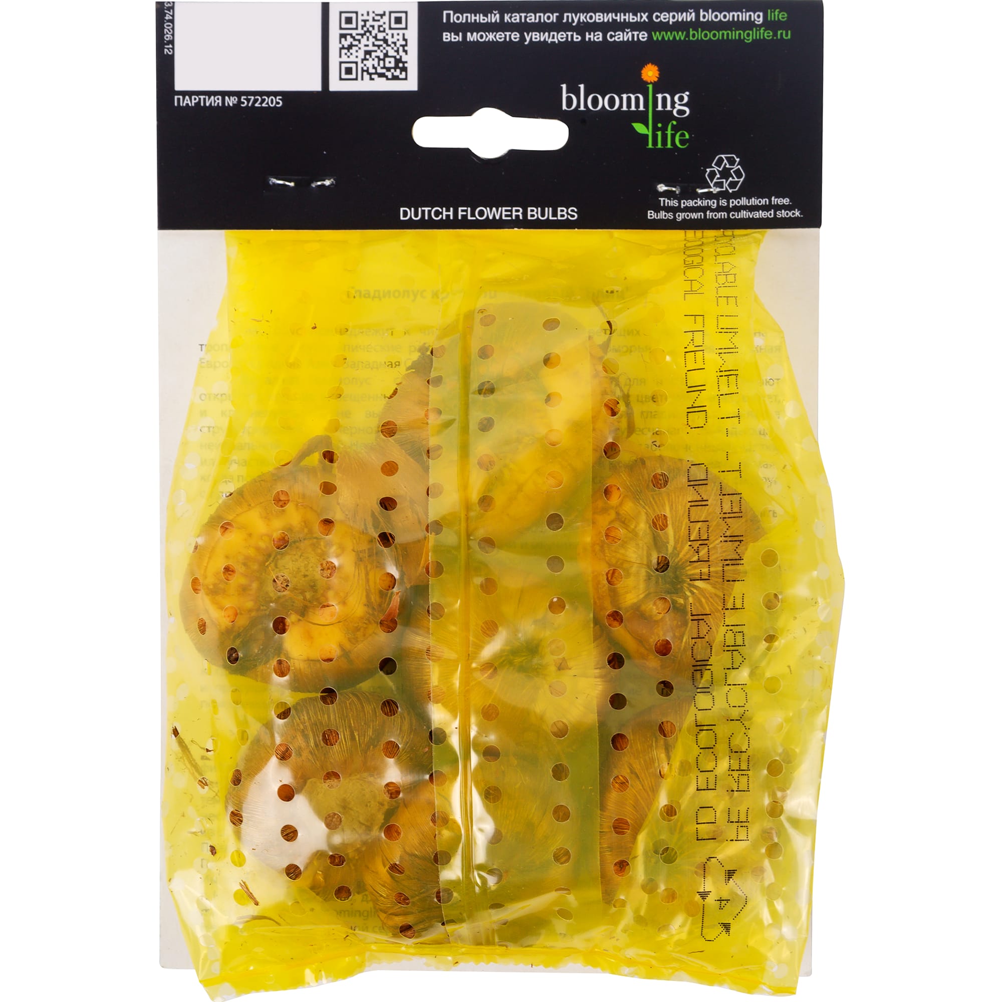 81945902 Гладиолус крупноцветковый «Блиц» Santreyd  - Вид №1