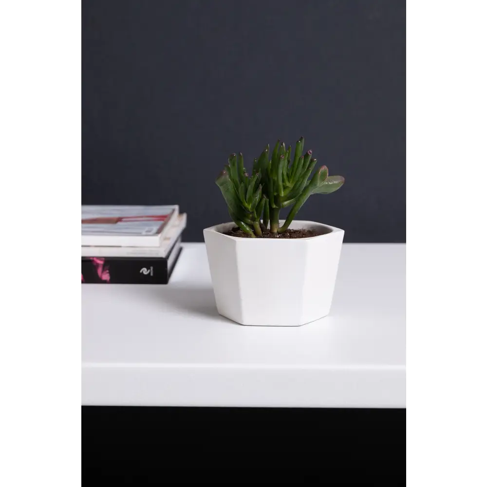 Кашпо Эджес ø14 h9 см v0.75 л керамика белый Santreyd STLM-2147747 - Вид №3