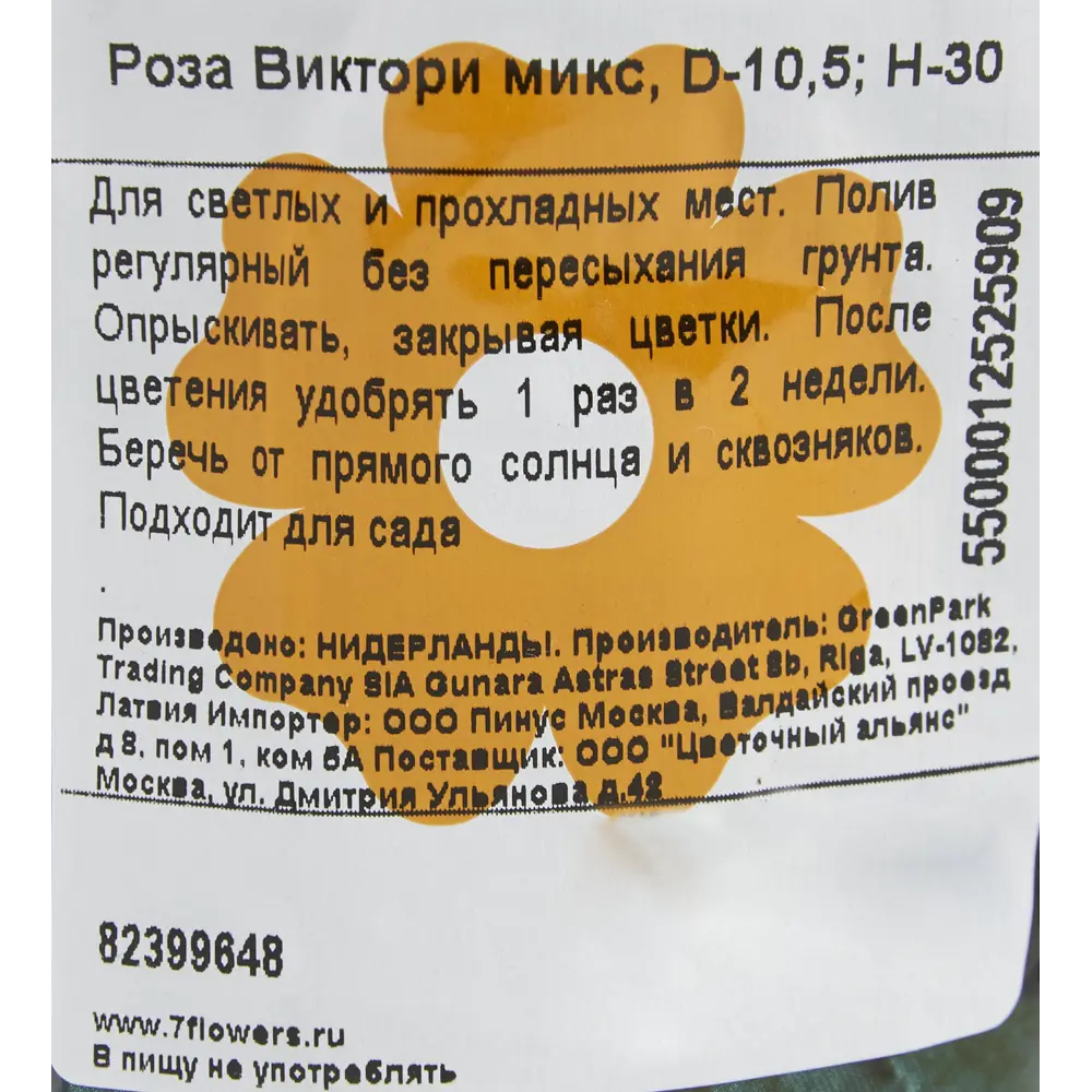 Роза Виктори микс ø10.5 h30 см Цветочный альянс 82399648 STLM-2172419 Santreyd  - Вид №2