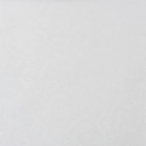 Обои на флизелиновой основе 1.06х10 м ветки цвет белый Ra 928211