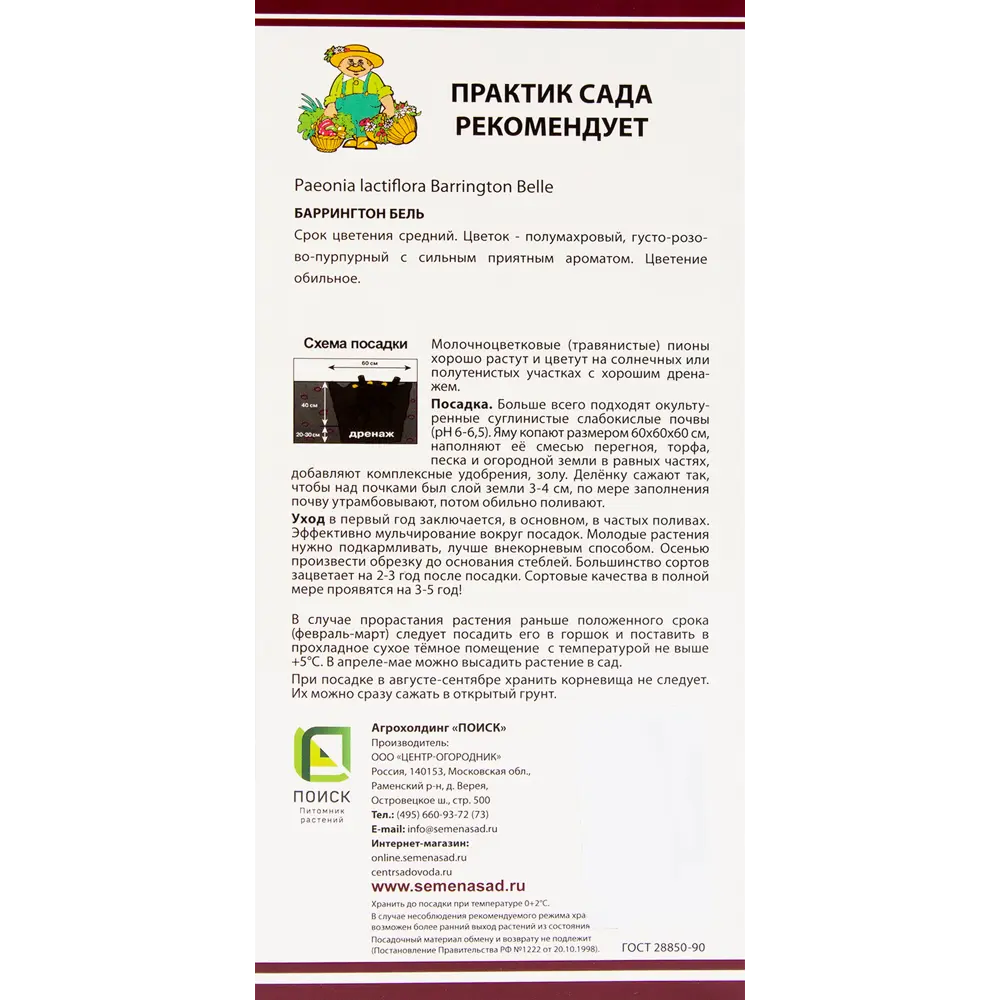 Пион молочноцветковый «Баррингтон Бель», размер луковицы I 82319603 STLM-2028668 Santreyd  - Вид №2
