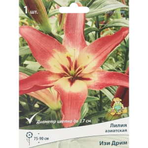 Лилия азиатская Изи дрим луковица 14/16 88294769 STLM-2010467