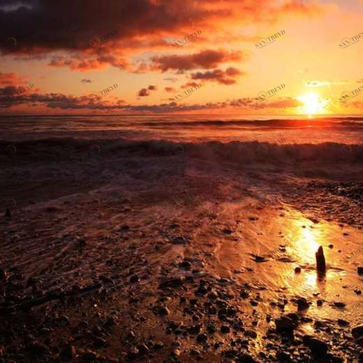 WP02407 Фотообои Verol Фотообои decoline 1х1 м