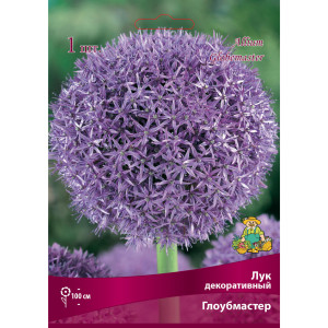 Лук декоративный ««Глоубмастер» размер луковицы 18/20