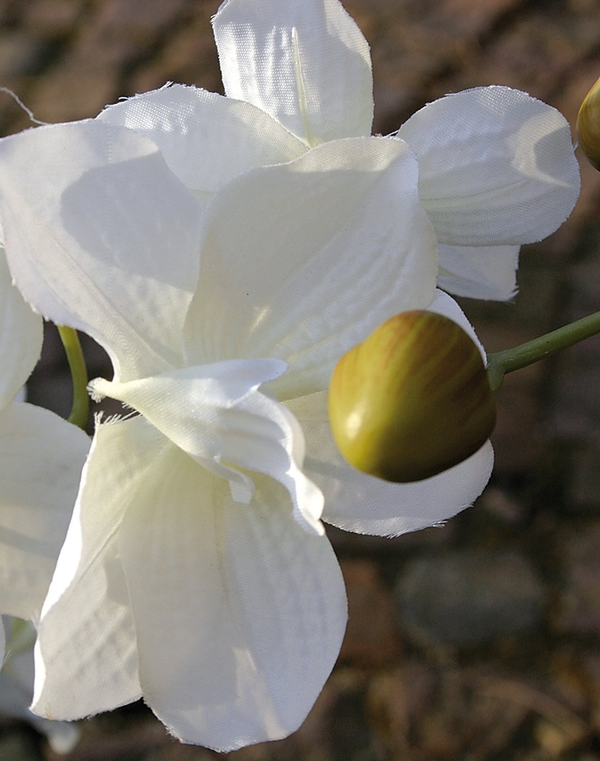 2589 778 a3 Имитация орхидеи ванда в стеклянном горшке, 53 см, бежево-белая H-andreas  - Вид №2