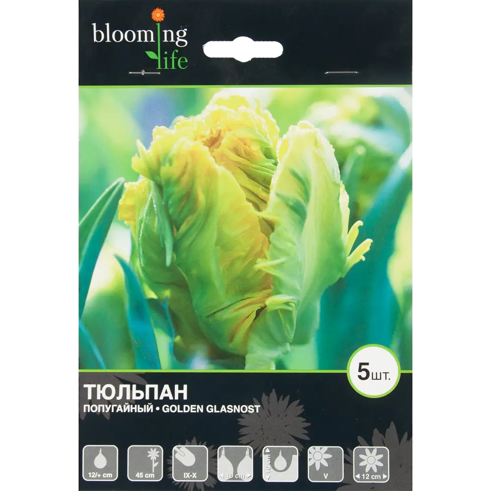 Тюльпан Голден Гласность 12/+, 5 шт 17977563 STLM-2203551 Santreyd 