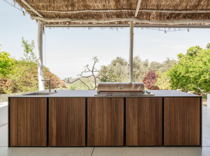 Алюминиевая наружная кухня с порошковым покрытием с барбекю