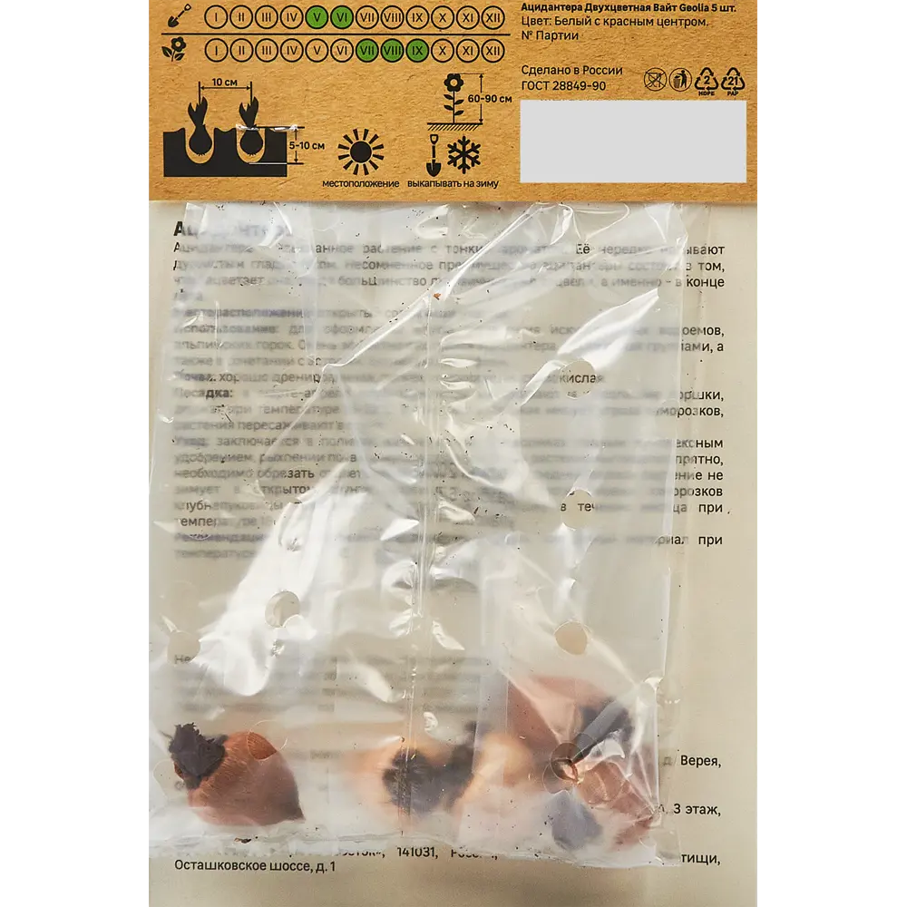 Ацидантера Geolia двухцветная Вайт 5 шт STLM-2181949 - Вид №1