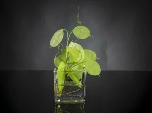 VGnewtrend Искусственное растение  1141714.60