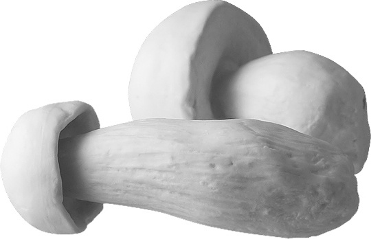 1021310 Klimenkoff Дек-е изделие "Гриб" бол. Фарфор твердый 