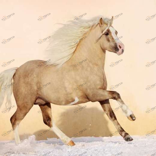 WP01233 Фотообои Verol Фотообои decoline 1х1 м