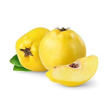 Айва Santreyd 41187 - Вид №1