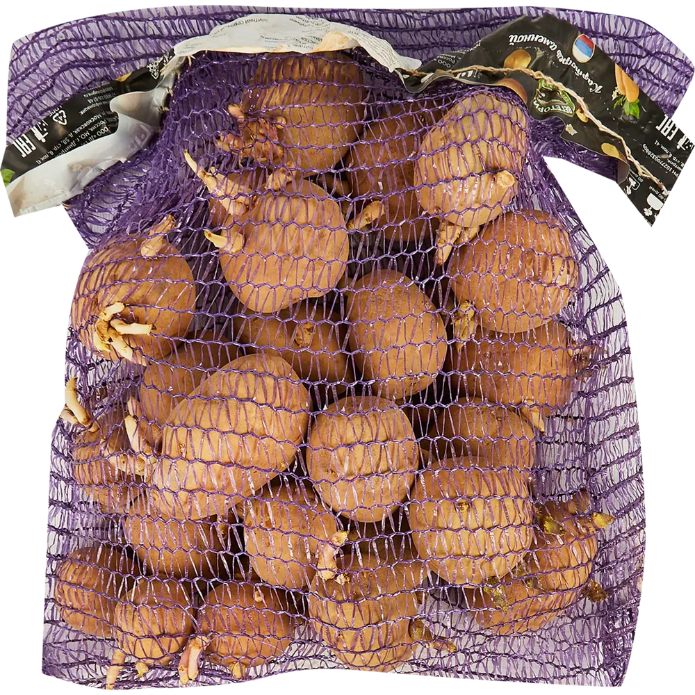 Картофель семенной Кингсмен Э 2 кг Santreyd STLM-2016325