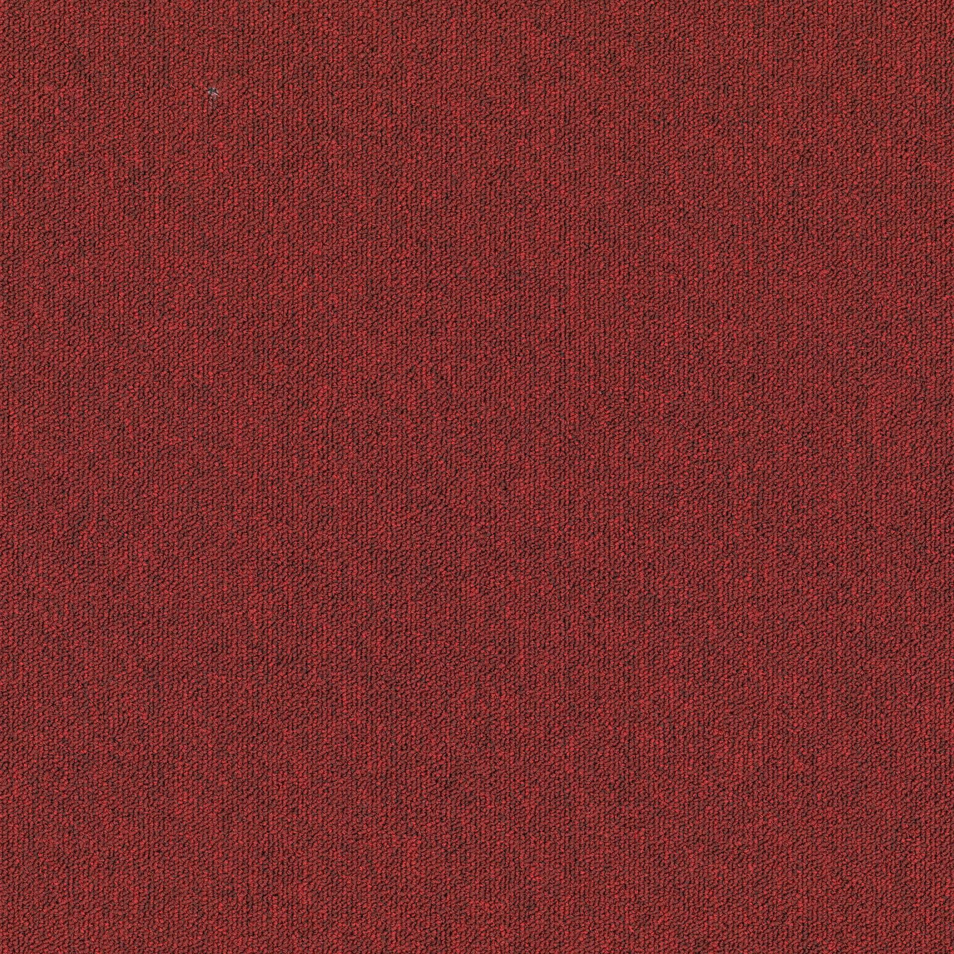 Ковровое покрытие из полиамида MODULYSS плюс ARCH-00125764 - Вид №33