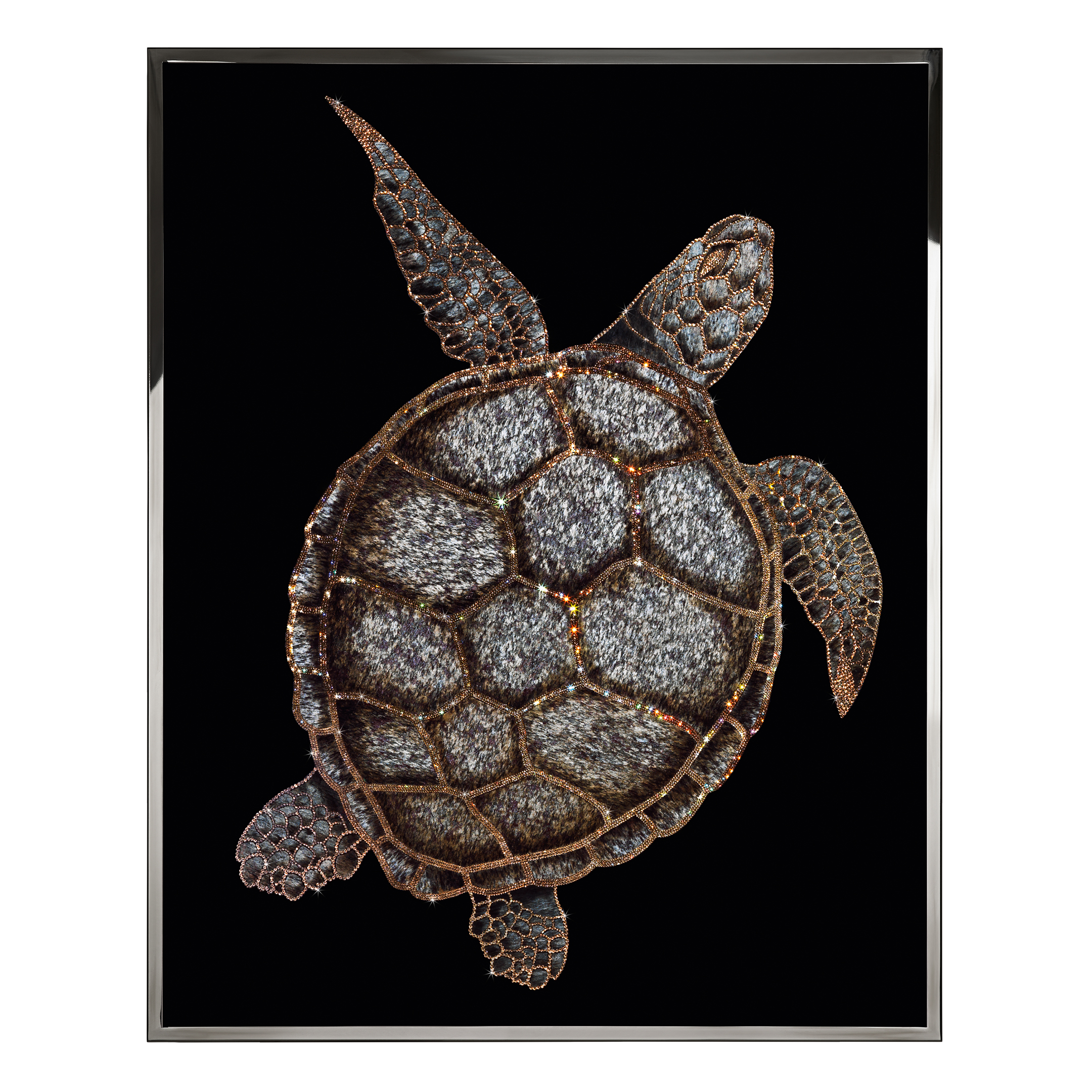 Tartaruga Камень и сталь Visionnaire  - Вид №1