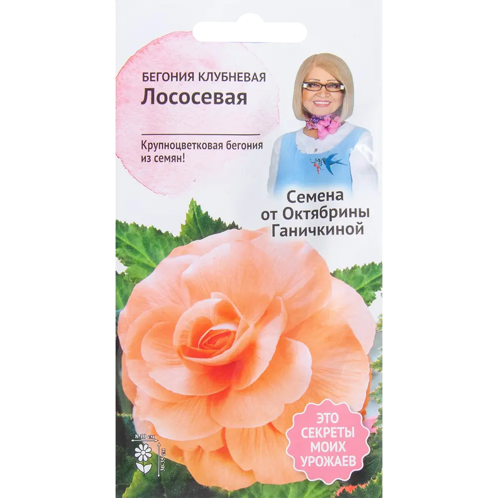 Бегония лососёвая 6 шт. 82481686 STLM-2056826 СЕМЕНА ОТ ОКТЯБРИНЫ ГАНИЧКИНОЙ 