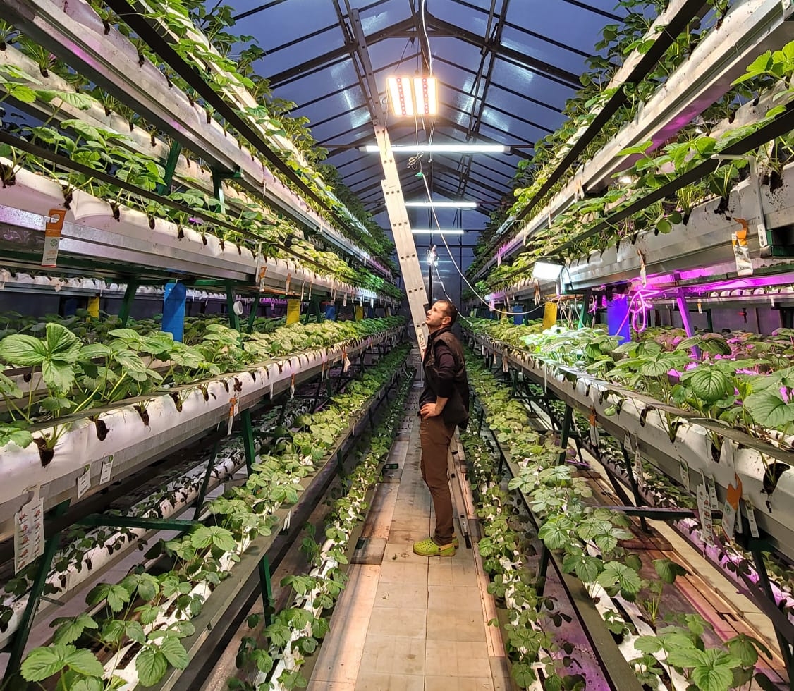 33190 Уценка 1.2 Quantum board 180 х 390 Samsung lm301b 5000K + Osram ssl 660nm LAB.Space  - Вид №3