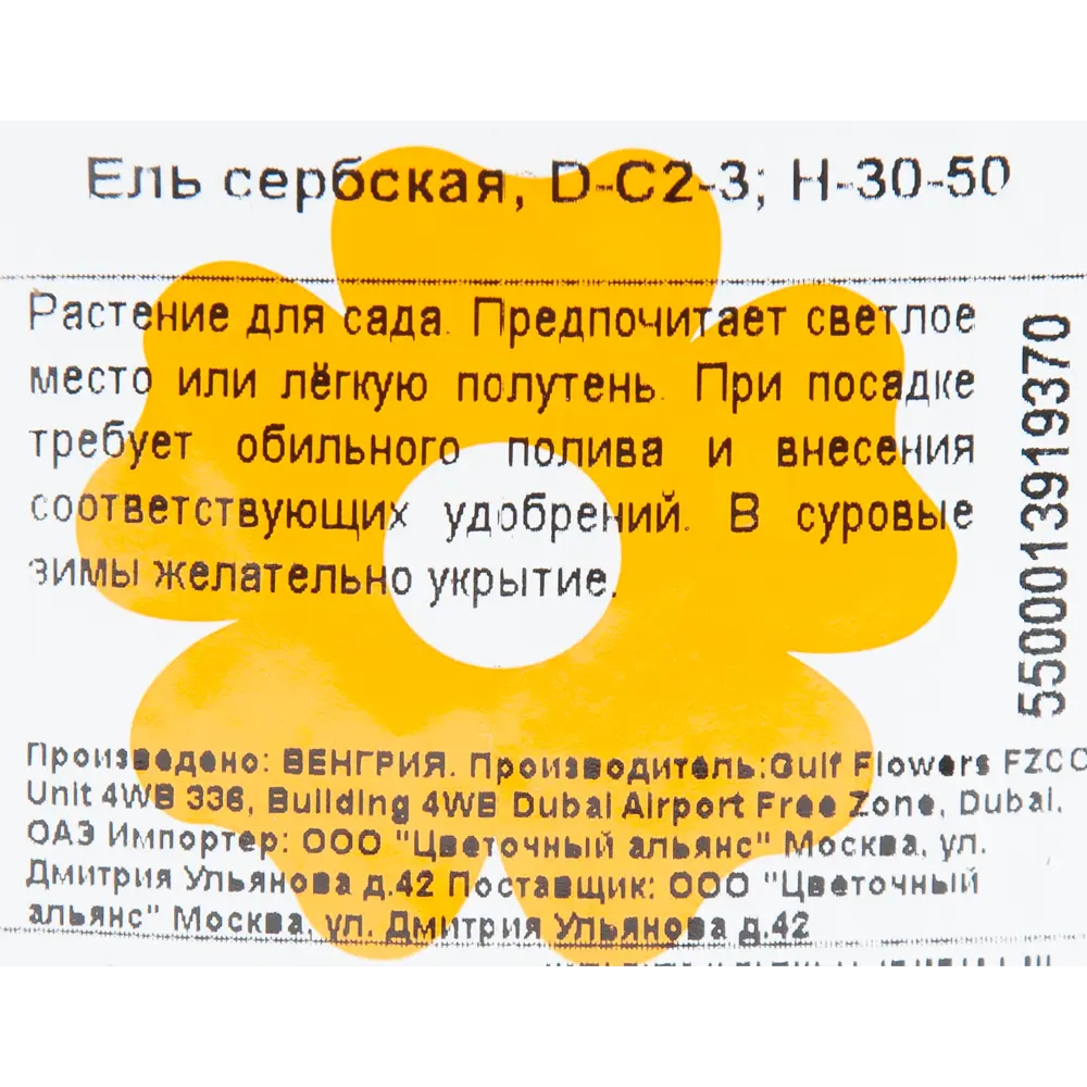 Ель сербская 17x40 см 82601644 STLM-2156476 Santreyd  - Вид №1