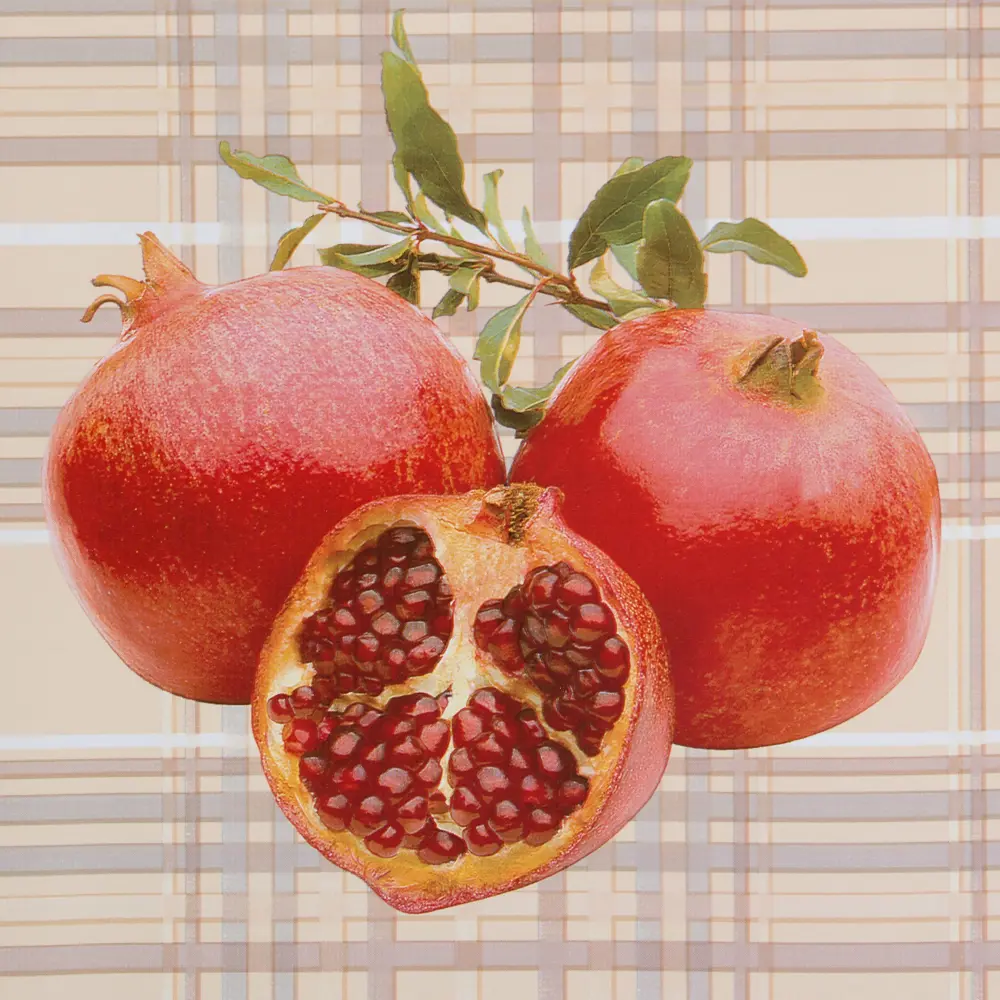 Скатерть «Фрукты» 110х140 см ПВХ Santreyd STLM-2152294 - Вид №1