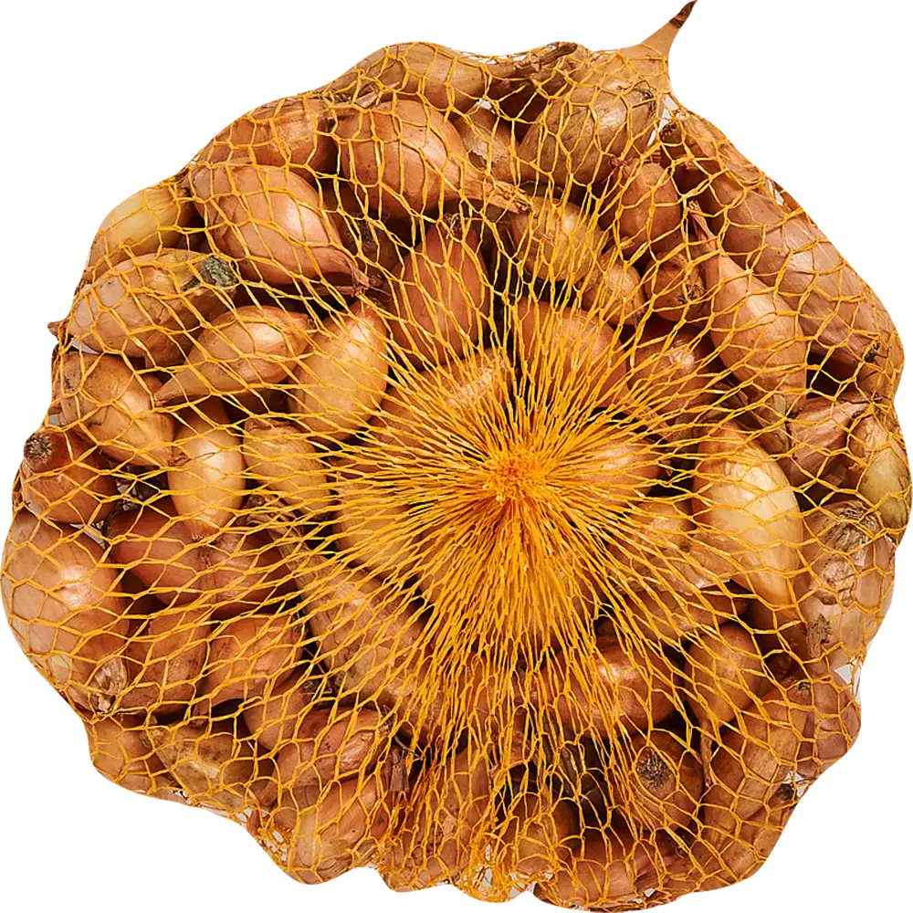 Лук-севок Купидо луковица 10/21, 0.35 кг Santreyd STLM-2050245