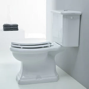 PA00300001 Компакт унитаз с бачком Белый Disegno Ceramica Paolina Италия