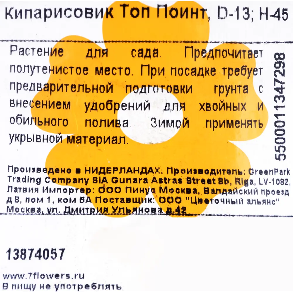 Кипарисовик «Топ Поинт», 13x45 см 13874057 STLM-2199294 Santreyd  - Вид №1