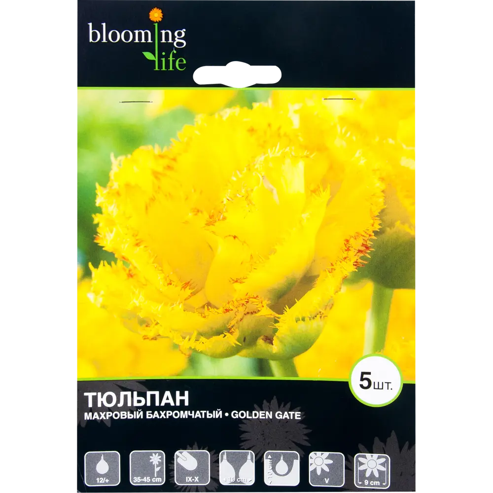 Тюльпан Голден Гейт 12/plus, 5 шт. 15073211 STLM-2183693 Santreyd 