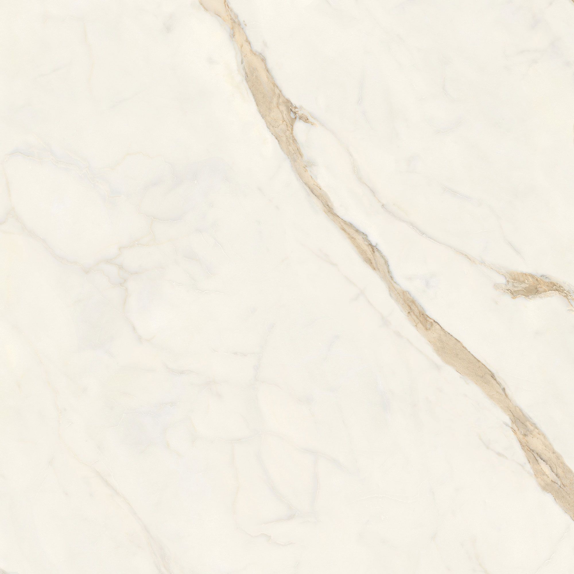 Пол / керамогранит с мраморным эффектом Italgraniti Marble Touch ARCH-00062183 - Вид №11
