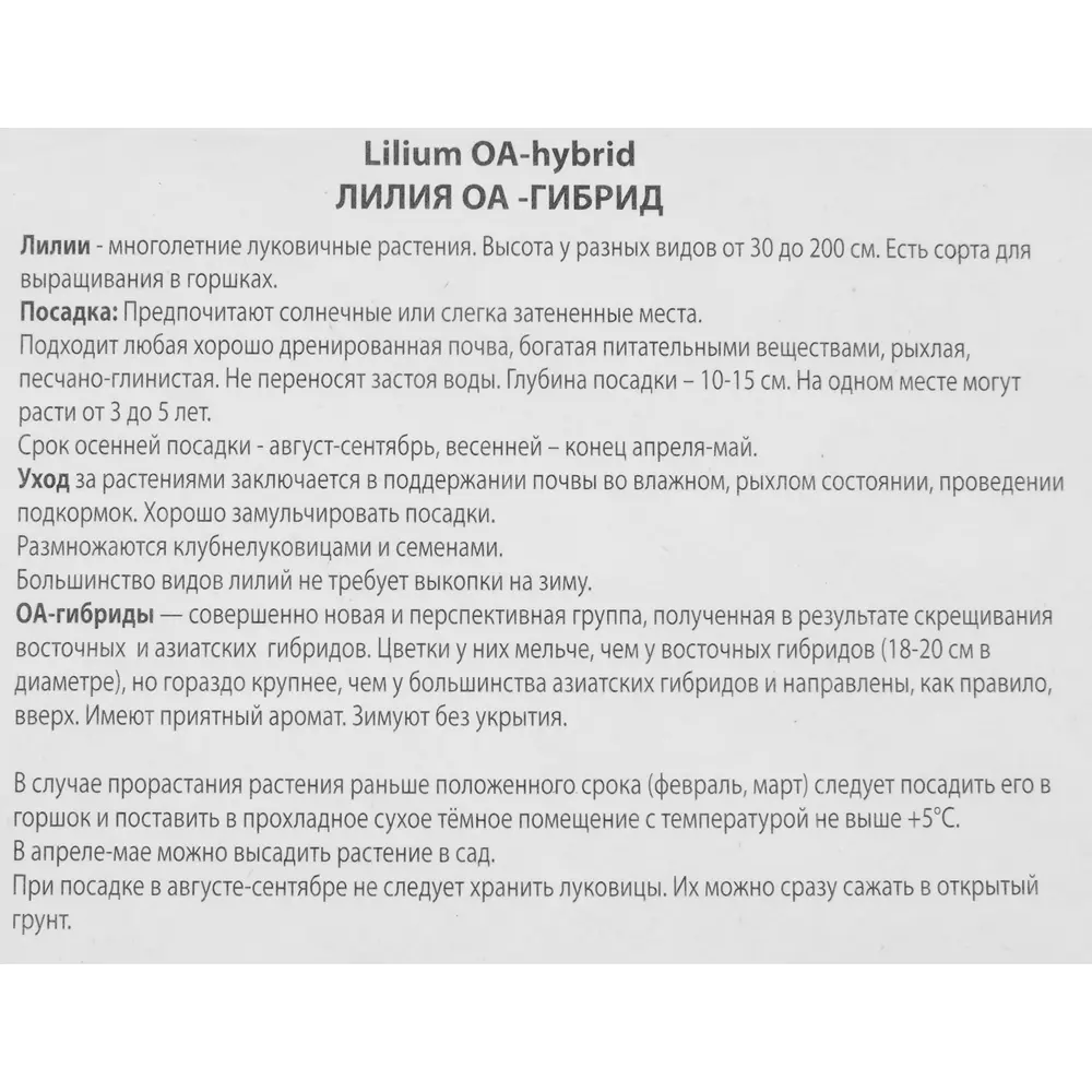Лилия ОА-гибрид Вива ла вида луковица 14/16 88294779 STLM-2108807 Santreyd  - Вид №2