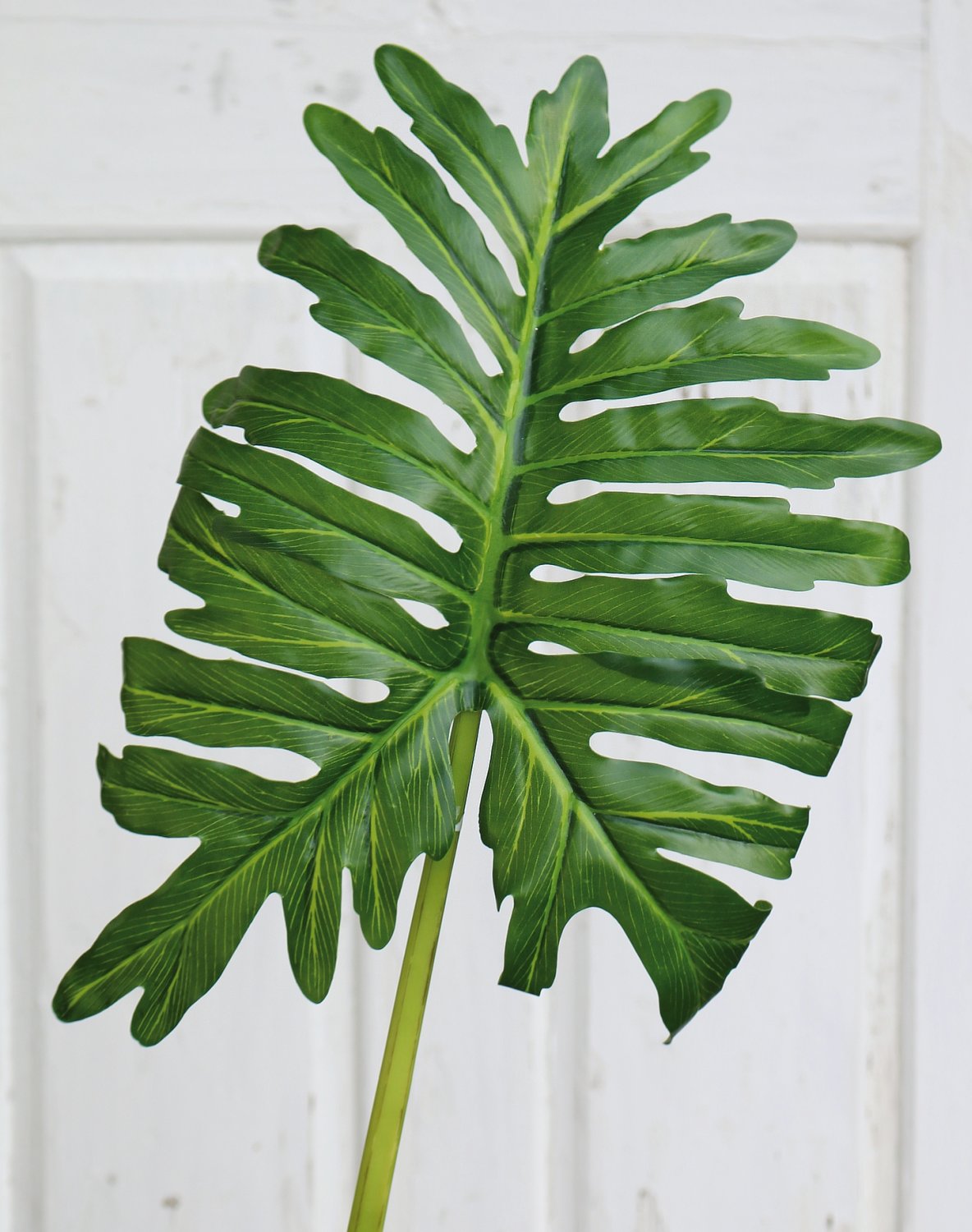 5281 883 a3 Искусственный колотый лист Вайя филодендрона, 91 см, зеленый H-andreas  - Вид №2
