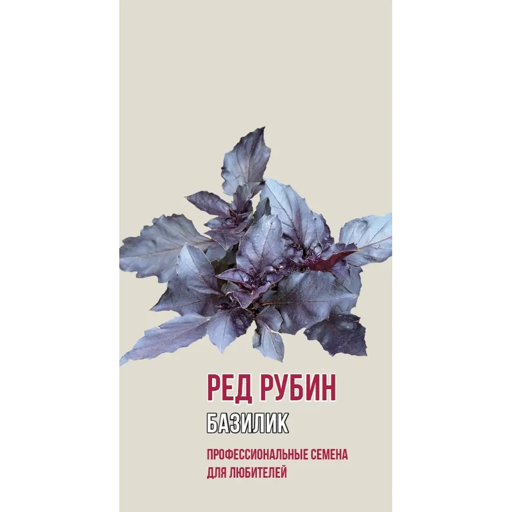 Семена базилика Ред Рубин AGRONI - ароматная зелень с фиолетовыми листьями 89400840 STLM-1565796