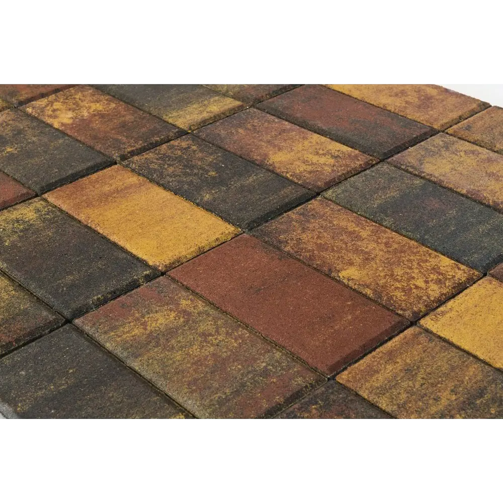 BRAER Плитка тротуарная Мальва 200x100 мм - яркий акцент для садовых дорожек 82770033 STLM-0035753 - Вид №2