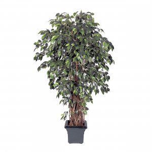 2000983195760 Фикус Лиана де люкс 150 см CARPET DECOR