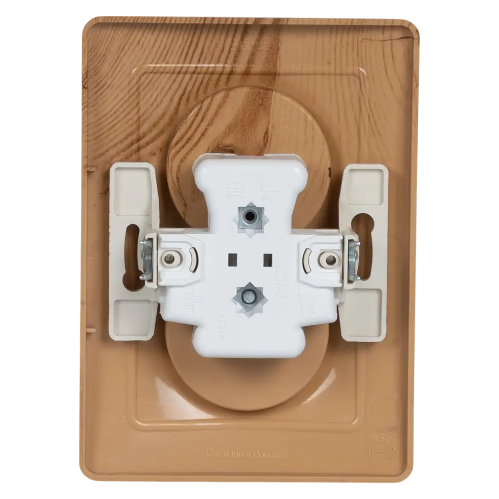 Розетка двойная встраиваемая Systeme Electric Blanca без заземления цвет ясень STLM-2174634 - Вид №4