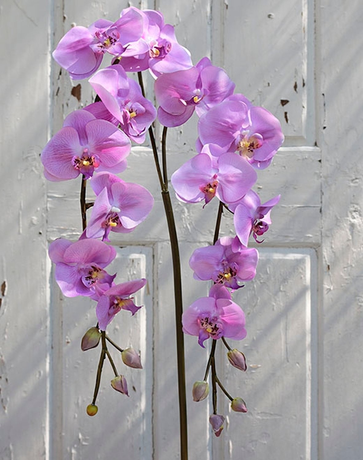 2818 253 a3 Искусственная орхидея Phalaenopsis (2 метелки), 150 см, орхидея H-andreas 