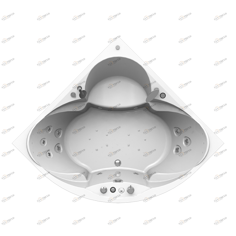 Гидромассаж "Лечебный Chrome" на ванну Филадельфия (двигатель 900 Вт, джет Глори - 3 шт., джет Джереми - 9 шт.) Radomir 1-65-2-0-2-042